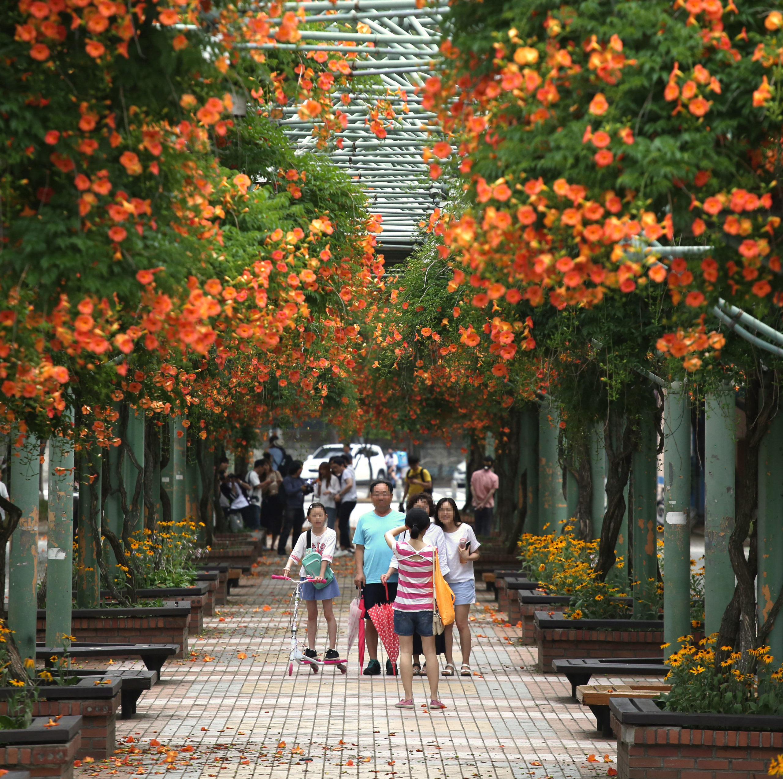 Bucheon: A People-Friendly Vision - Institute for Transportation and ...